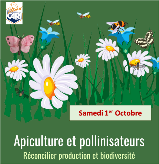 Week End CARI – 01/10 – Apiculture et Pollinisateurs