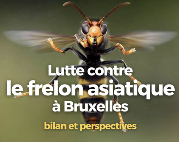 Colloque Frelon asiatique au Parlement Bruxellois