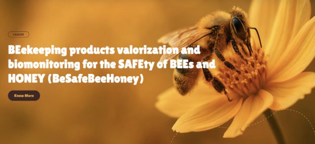 BeSafeBeeHoney : 2ème conférence internationale