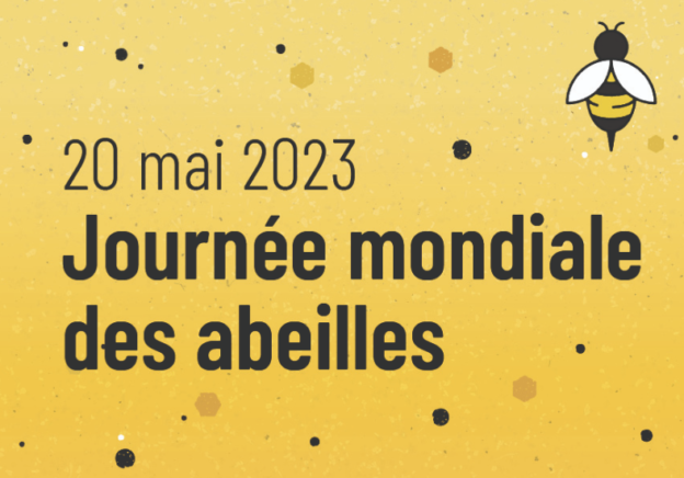 La Journée mondiale des abeilles se rapproche!
