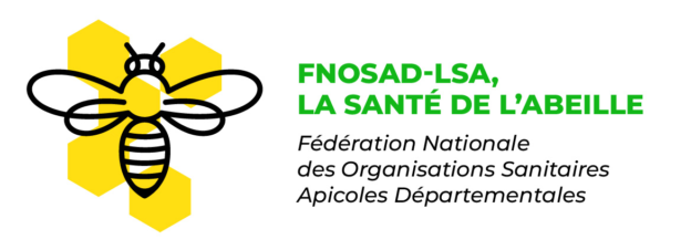 Retour sur la Journée technique de la FNSOAD (1/3) : stratégie de lutte contre le frelon asiatique