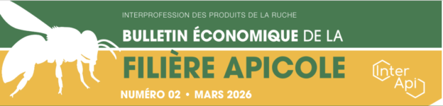 Un coup d&rsquo;oeil sur le marché français